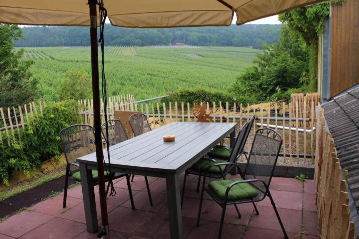 Foersters Weinterrassen Apartment Bad Neuenahr-Ahrweiler Bagian luar foto