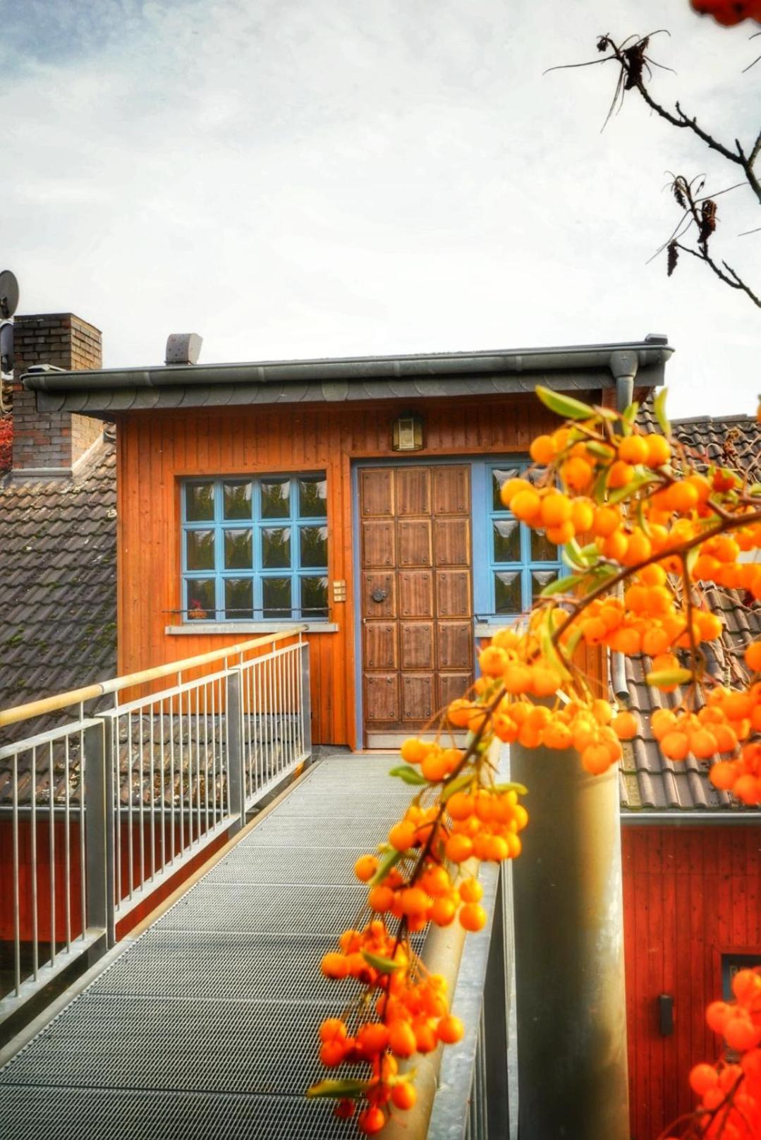 Foersters Weinterrassen Apartment Bad Neuenahr-Ahrweiler Bagian luar foto